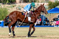 Bentley Polo Match